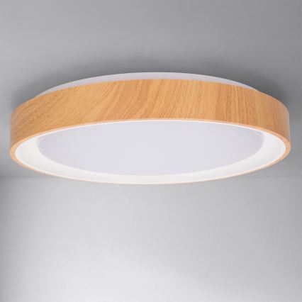 Brilagi - LED-himmennettävä kattovalaisin FLOCO LED/48W/230V halkaisija 40 cm puukuosi/valkoinen + kaukosäädin