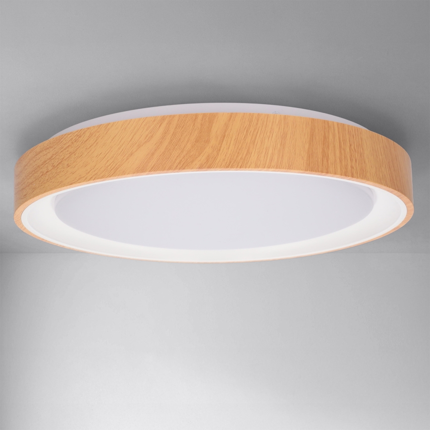 Brilagi - LED-himmennettävä kattovalaisin FLOCO LED/48W/230V halkaisija 40 cm puukuosi/valkoinen + kaukosäädin