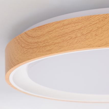 Brilagi - LED-himmennettävä kattovalaisin FLOCO LED/48W/230V halkaisija 40 cm puukuosi/valkoinen + kaukosäädin