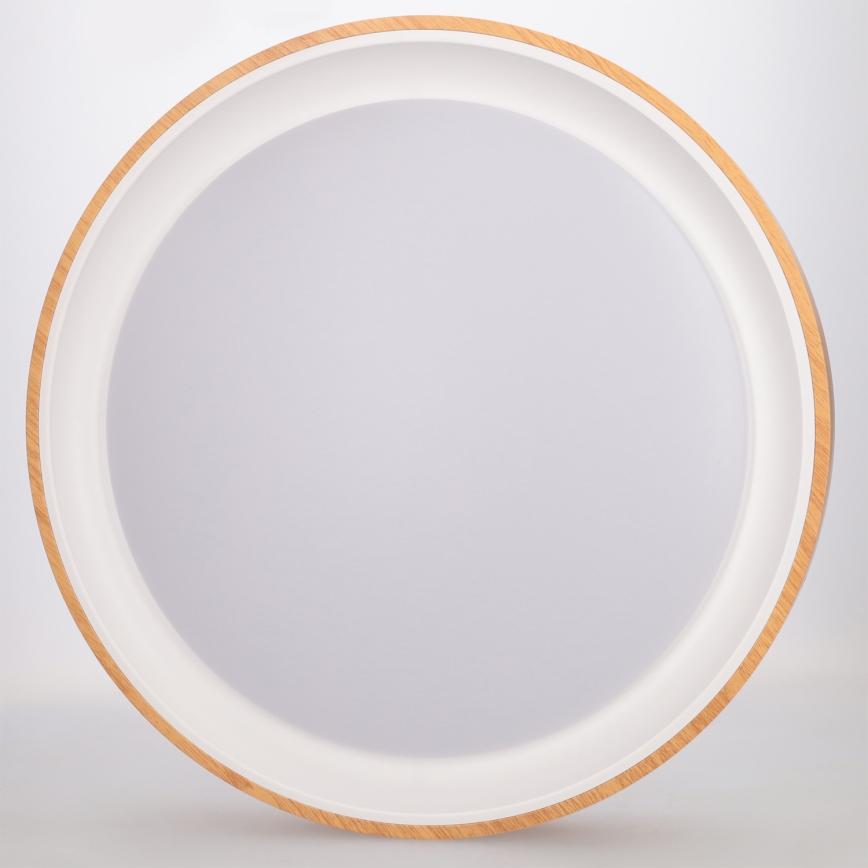 Brilagi - LED-himmennettävä kattovalaisin FLOCO LED/48W/230V halkaisija 40 cm puukuosi/valkoinen + kaukosäädin