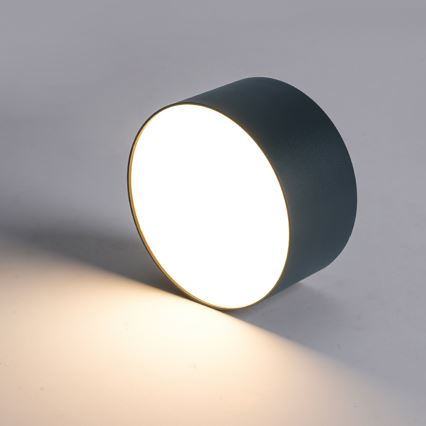 Brilagi - LED-kylpyhuoneen kattovalaisin FORIS LED/20W/230V Ø 15 cm antrasiitti IP44