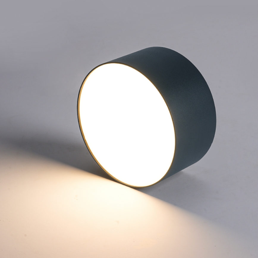 Brilagi - LED-kylpyhuoneen kattovalaisin FORIS LED/20W/230V Ø 15 cm antrasiitti IP44