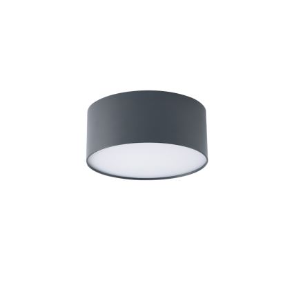Brilagi - LED-kylpyhuoneen kattovalaisin FORIS LED/20W/230V Ø 15 cm antrasiitti IP44