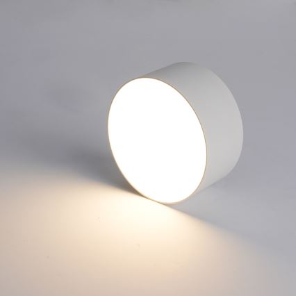 Brilagi - FORIS LED kylpyhuoneen kattovalaisin LED/20W/230V, halkaisija 15 cm, valkoinen, IP44