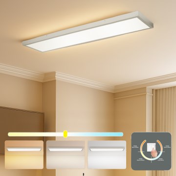 Brilagi - FRAME LED kylpyhuoneen kattovalaisin 50W/230V 3000/4000/6000K 120 x 30 cm IP44 hopea