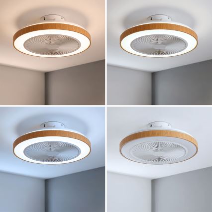 Brilagi - himmennettävä LED-kattotuuletin LED/38W/230V 3000-6500K halkaisija 50 cm valkoinen/ruskea + kaukosäädin