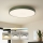 Brilagi - himennettävä LED-kattovalaisin POOL LED/60W/230V 3000-6000K, halkaisija 60 cm, vihreä + kauko-ohjain