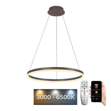 Brilagi - Himennettävä LED-riippuvalaisin kaapelilla CIRCLE LED/42W/230V 3000-6500K Ø 60 cm ruskea + kaukosäädin