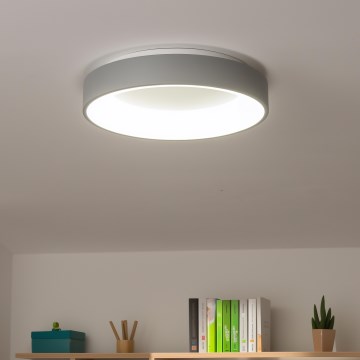 Brilagi - Himmennettävä kattovalaisin FALCON LED/40W/230V 3000-6500K, halkaisija 45 cm, harmaa + kaukosäädin