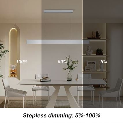 Brilagi - Himmennettävä LED-kattokruunu johdossa SLIMLINE LED/40W/230V 3000-6000K hopea + kauko-ohjaus