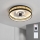 Brilagi - himmennettävä LED-kattotuuletin LED/34W/230V 3000-6500K halkaisija 50 cm musta/kultainen + kaukosäädin
