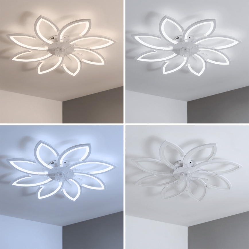 Brilagi - LED-himmennettävä kattotuuletin LED/43W/230V, halkaisija 90 cm, valkoinen + kaukosäädin