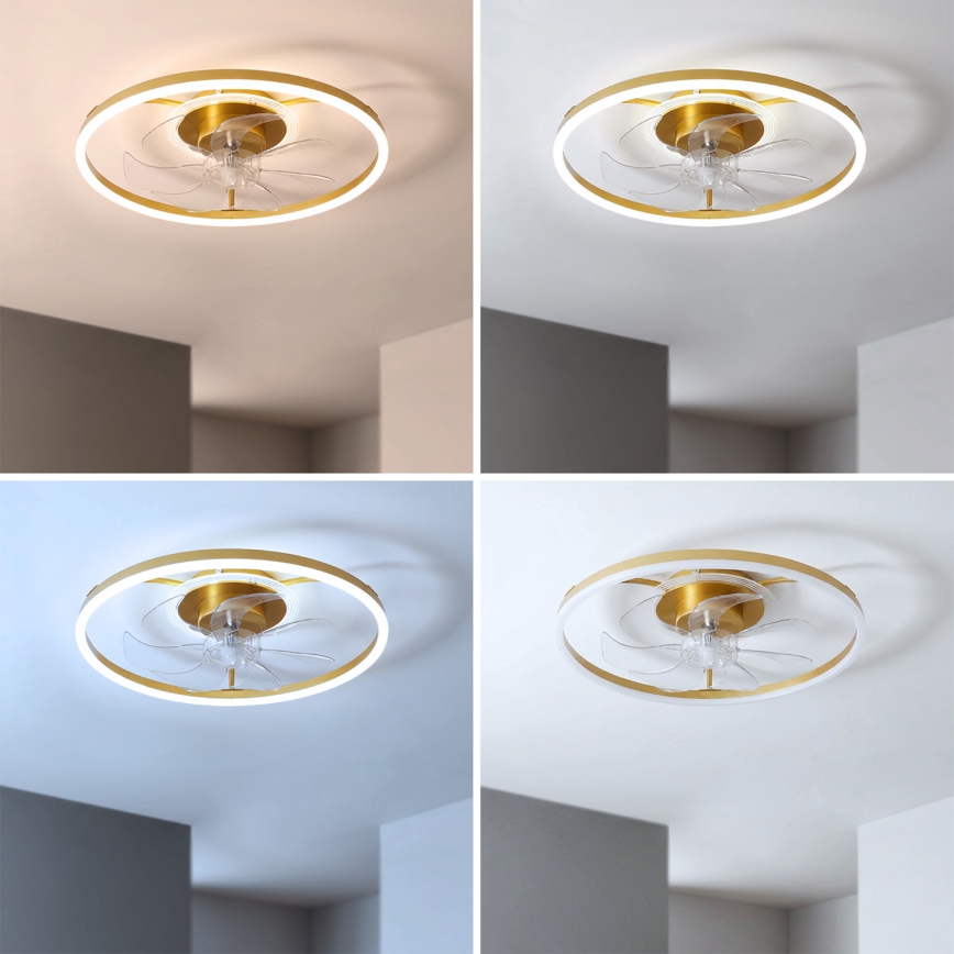 Brilagi - himmennettävä LED-kattotuuletin LED/66W/230V 3000-6500K halkaisija 55 cm valkoinen/kultainen + kaukosäädin