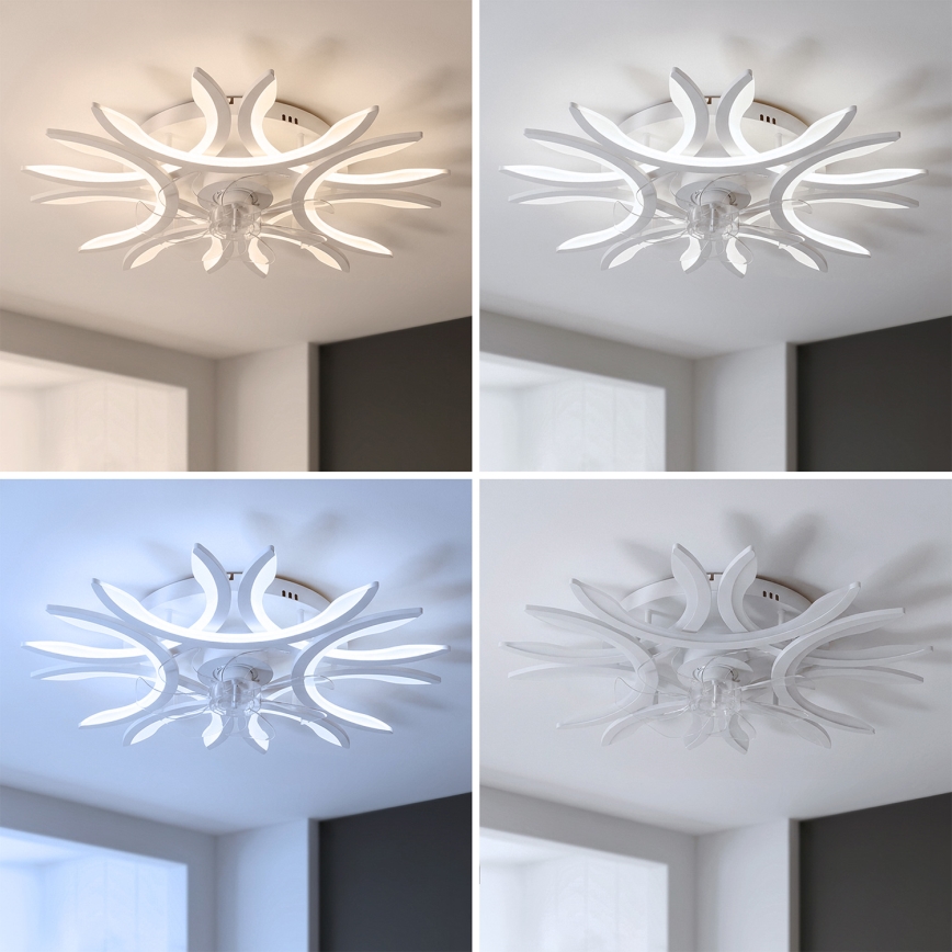 Brilagi - LED-himmennettävä kattotuuletin LED/70W/230V halkaisija 76 cm valkoinen + kaukosäädin