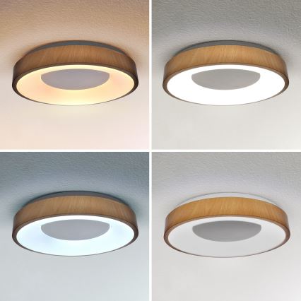 Brilagi - LED himmennettävä kattovalaisin DORIA LED/48W/230V 3000-6500K halkaisija 39 cm + kaukosäädin