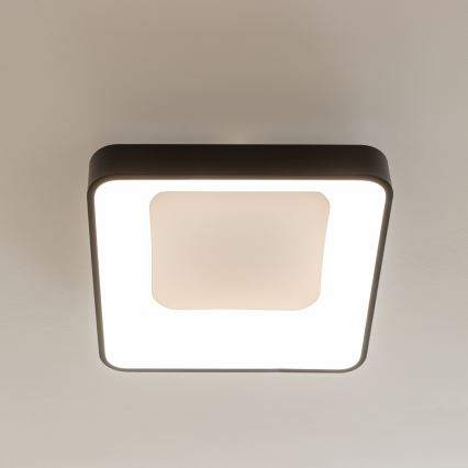 Brilagi - LED-himmennettävä kattovalaisin FALCON II LED/80W/230V 3000-6500K 40x40 cm musta + kaukosäädin