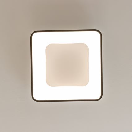 Brilagi - LED-himmennettävä kattovalaisin FALCON II LED/80W/230V 3000-6500K 40x40 cm musta + kaukosäädin