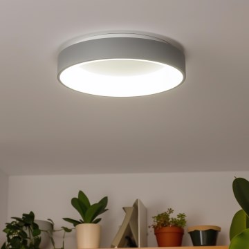 Brilagi - Himmennettävä LED-kattovalaisin FALCON LED/80W/230V 3000-6500K halkaisija 60 cm harmaa + kaukosäädin