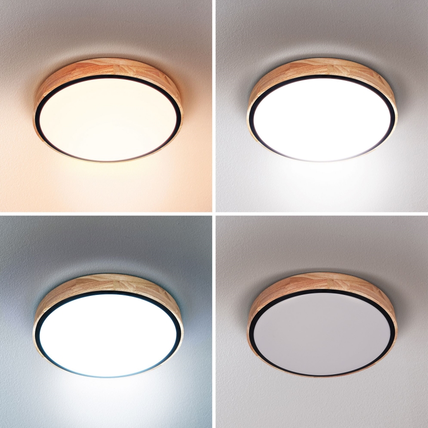 Brilagi - himmennettävä LED-kattovalaisin GLORIA LED/48W/230V 3000-6500K tammi, halkaisija 40 cm + kaukosäädin