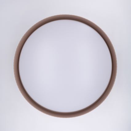 Brilagi - LED-himmennettävä kattovalaisin LUCIA LED/60W/230V 3000–6500K Ø 59 cm ruskea + kaukosäädin