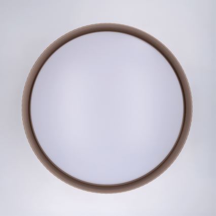 Brilagi - LED himmennettävä kattovalaisin LUCIA LED/60W/230V 3000-6500K halkaisija 59 cm taupe + kaukosäädin