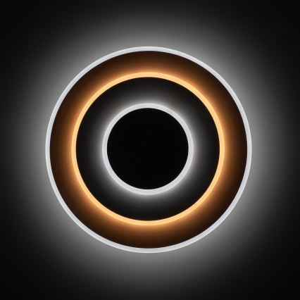 Brilagi - LED himmennettävä kattovalaisin MODERN LED/58W/230V 2700-6500K halkaisija 46,3 cm + kaukosäädin