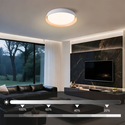 Brilagi - himmennettävä LED-kattovalaisin ORINO LED/54W/230V 3000-6000K valkoinen halkaisija 43 cm + kaukosäädin