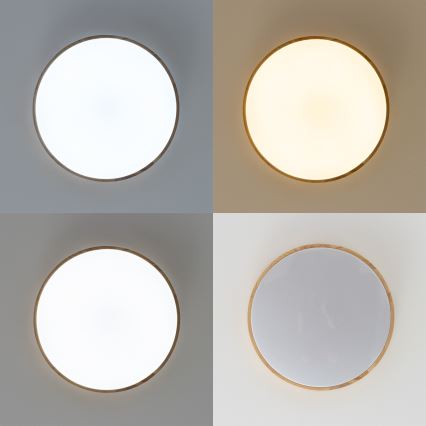 Brilagi - PINE himmennettävä LED-kattovalaisin LED/24W/230V, puinen halkaisija 42 cm 3000-6500K + kaukosäädin