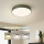 Brilagi - himmennettävä LED-kattovalaisin POOL LED/36W/230V 3000-6000K halkaisija 30 cm vihreä + kaukosäädin
