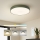 Brilagi - Himmennettävä LED-kattovalaisin POOL LED/48W/230V 3000-6000K Ø 40 cm vihreä + kaukosäädin