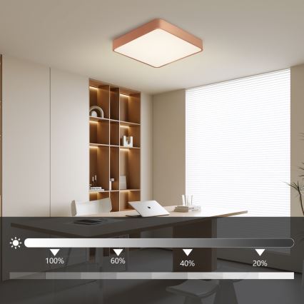 BRILAGI - LED Himmennettävä kattovalaisin POOL SQUARE LED/48W/230V 3000-6000K 50x50 cm pronssinvärinen + kaukosäädin