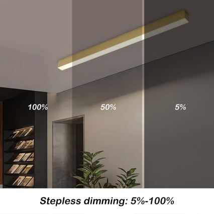 Brilagi - LED-himennettävä kattovalaisin SLEEKLINE SMART LED/40W/230V 3000-6000K Wi-Fi Tuya kullanvärinen + kaukosäädin