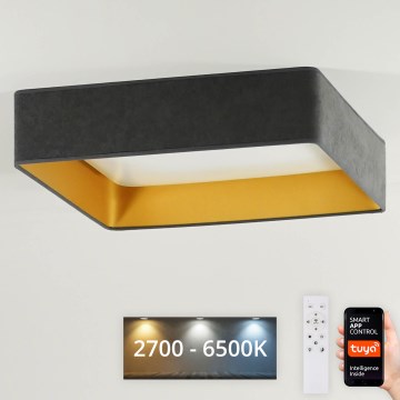 Brilagi - Himmennettävä LED-kattovalaisin VELVET SQUARE SMART LED/36W/230V 2700-6500K Wi-Fi Tuya + kauko-ohjaus harmaa