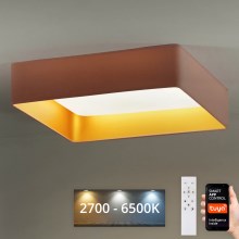 Brilagi - Himmennettävä LED-kattovalaisin VELVET SQUARE SMART LED/36W/230V 2700-6500K Wi-Fi Tuya + kauko-ohjaus vaaleanpunainen