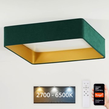 Brilagi - himmennettävä LED-kattovalaisin VELVET SQUARE SMART LED/36W/230V 60x60 cm 2700-6500K Wi-Fi Tuya + kaukosäädin vihreä