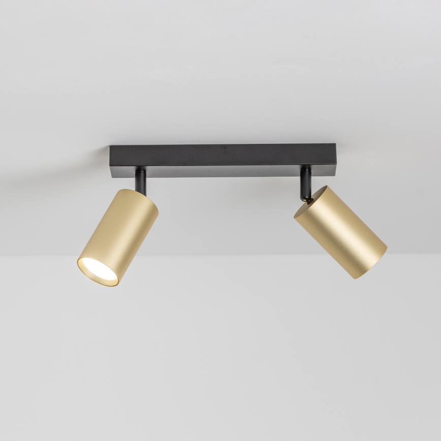 Brilagi - LED-himmennettävä kohdevalaisin SELE GOLDEN 2xGU10/6,5W/230V 2700-6500K musta/kultainen