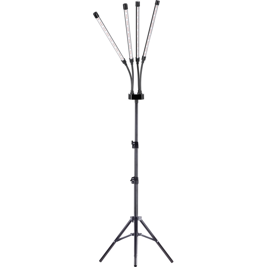 Brilagi - LED Himmennettävä joustava lattialamppu kasvien kasvattamiseen VITABLOOM 4xLED/7,5W/230V musta