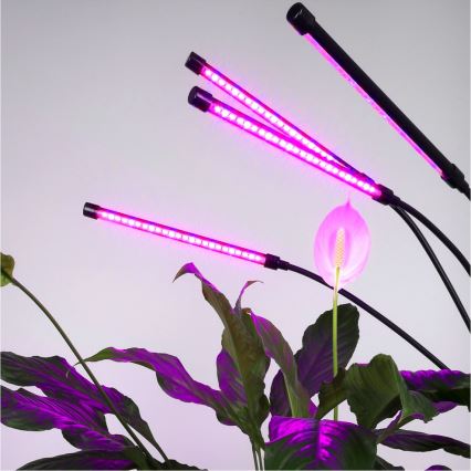 Brilagi - LED Himmennettävä joustava lattialamppu kasvien kasvattamiseen VITABLOOM 4xLED/7,5W/230V musta