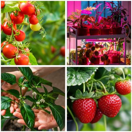 Brilagi - LED Himmennettävä joustava lattialamppu kasvien kasvattamiseen VITABLOOM 4xLED/7,5W/230V musta