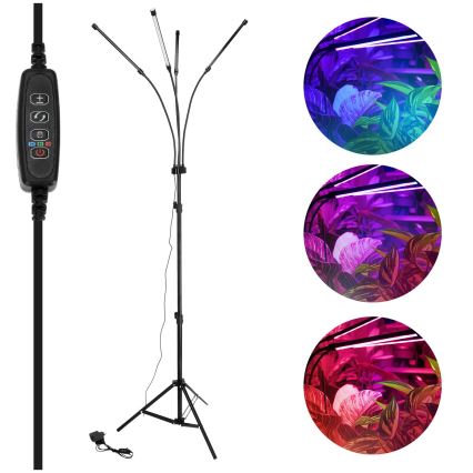 Brilagi - LED Himmennettävä joustava lattialamppu kasvien kasvattamiseen VITABLOOM 4xLED/7,5W/230V musta