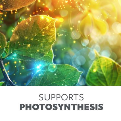 Brilagi - LED Himmennettävä joustava lattialamppu kasvien kasvattamiseen VITABLOOM 4xLED/7,5W/230V musta