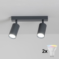 Brilagi - himmennettävä LED RGBW-kohdevalaisin SELE 2xGU10/4,8W/230V 3000K antrasiitti + kaukosäädin