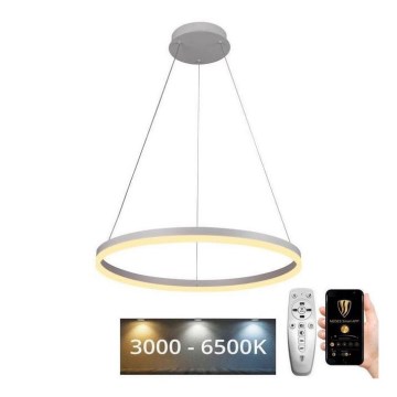 Brilagi - himmennettävä LED-riippuvalaisin kaapelilla CIRCLE LED/42W/230V 3000-6500K halkaisija 60 cm + kaukosäädin