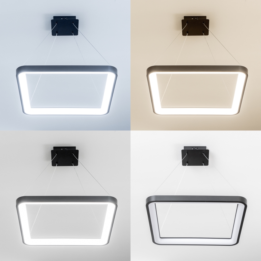 Brilagi - LED-himmennettävä riippuvalaisin vaijerilla FALCON SLIM LED/50W/230V 3000-6500K 50x50 cm musta + kaukosäädin