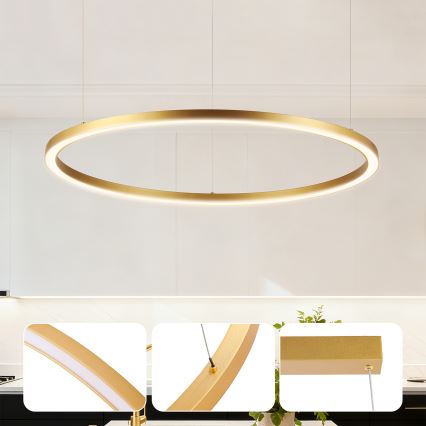 Brilagi - LED-himmennettävä riippuvalaisin vaijerilla PORTOFINO LED/60W/230V 3000-6000K Ø 80 cm kultainen + kaukosäädin