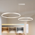 Brilagi - himmennettävä LED-riippuvalaisin kaapelilla PORTOFINO LED/98W/230V 3000–6000K hopea + kaukosäädin