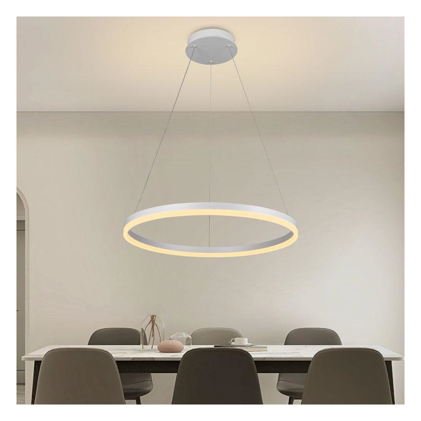 Brilagi - himmennettävä vaijerikiinnitteinen riippuvalaisin CIRCLE LED/42W/230V 3000-6500K, halkaisija 60 cm + kaukosäädin