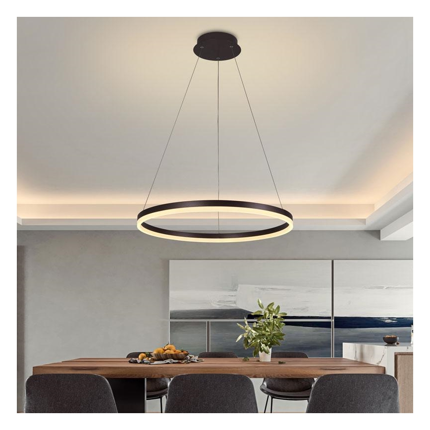 Brilagi - Himennettävä LED-riippuvalaisin kaapelilla CIRCLE LED/42W/230V 3000-6500K Ø 60 cm ruskea + kaukosäädin