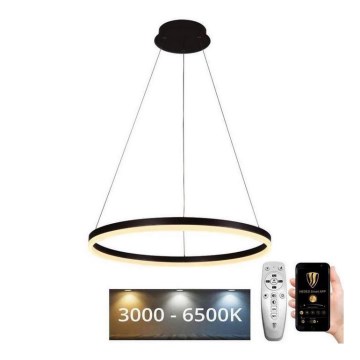 Brilagi - himmennettävä LED-riippuvalaisin vaijerilla CIRCLE LED/42W/230V 3000-6500K Ø 60 cm + kaukosäädin