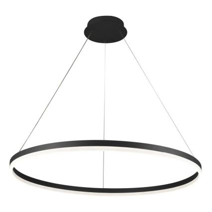 Brilagi - LED-himmennettävä vaijeririippuvalaisin CIRCLE LED/55W/230V 3000-6500K halkaisija 80 cm musta + kauko-ohjain